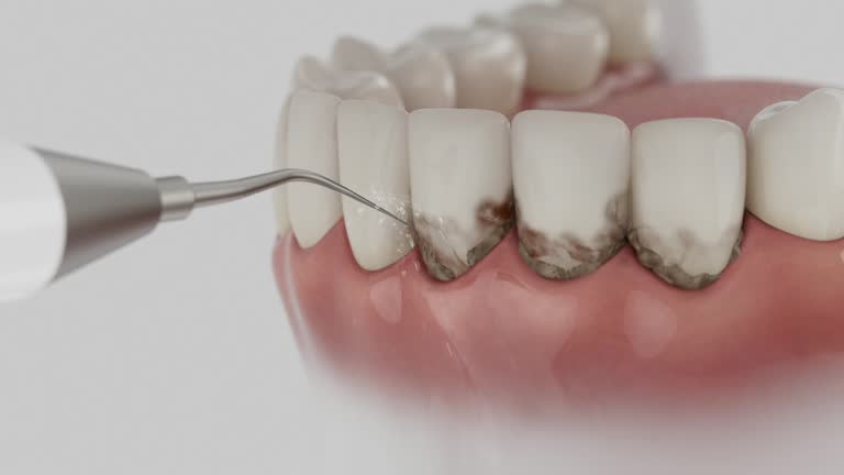 Reliable Dental contractor in South Houston, TX by Dentist Open Now